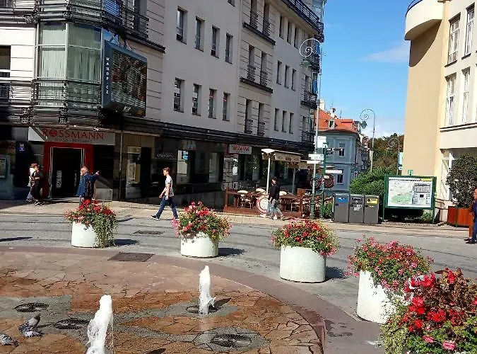 Lägenhet Ab Karlovy Vary